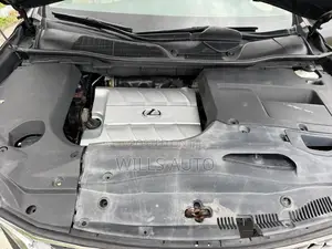 Lexus RX 2010 Gray