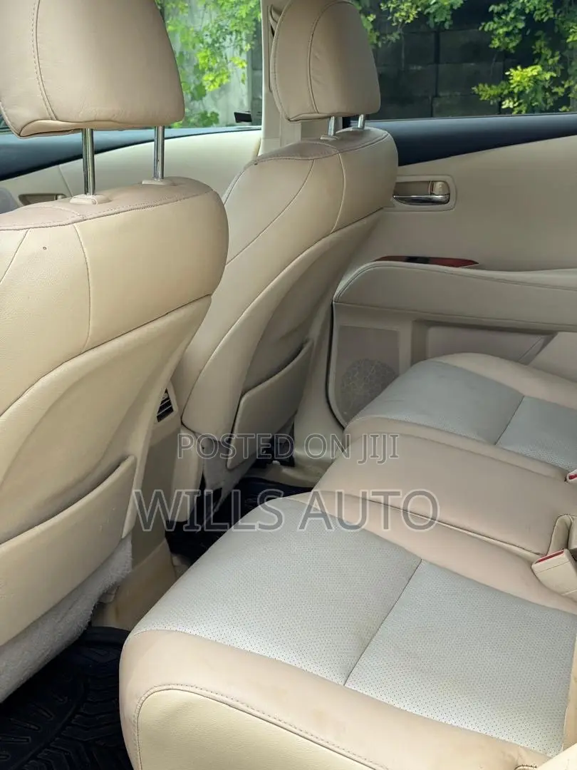 Lexus RX 2010 Gray