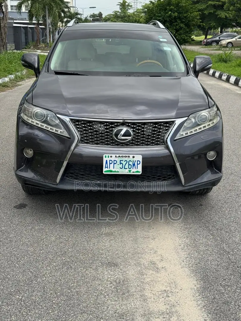 Lexus RX 2010 Gray