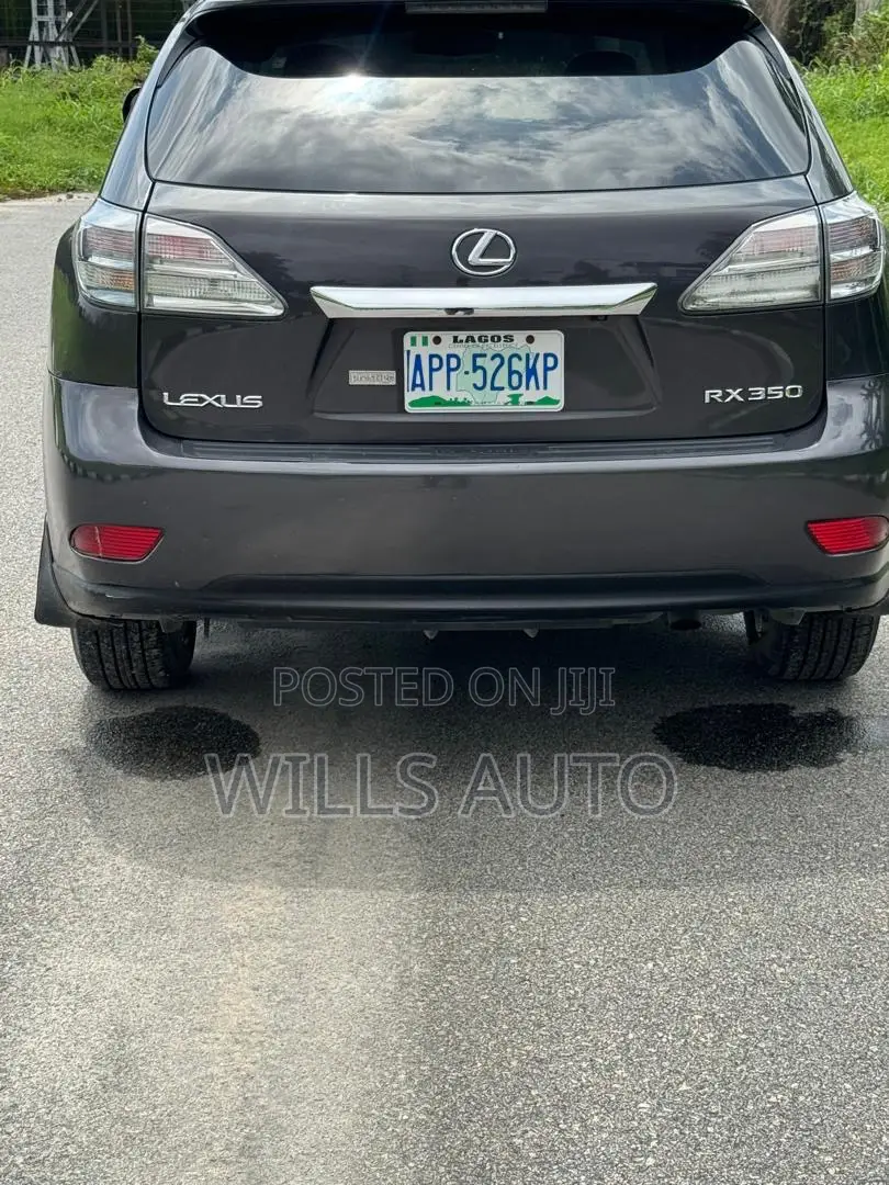 Lexus RX 2010 Gray