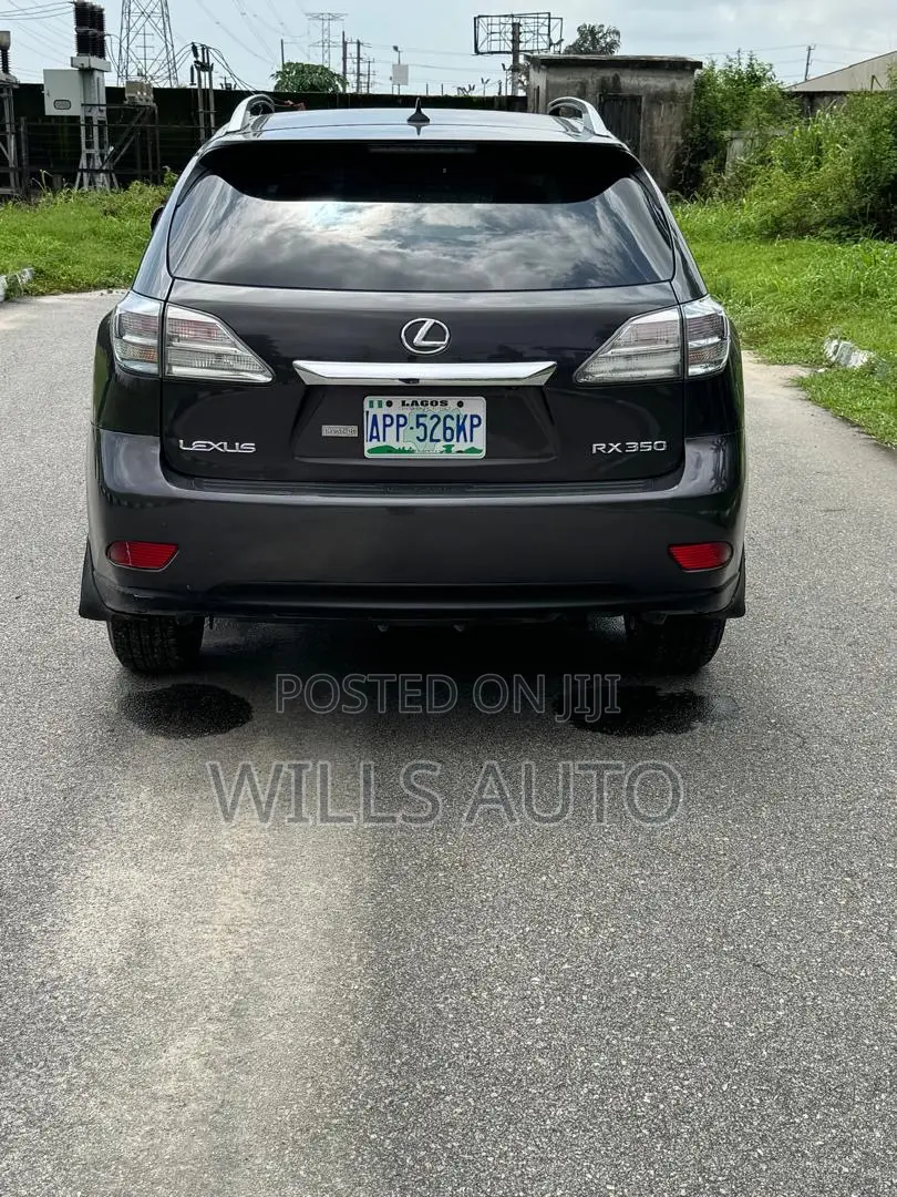Lexus RX 2010 Gray