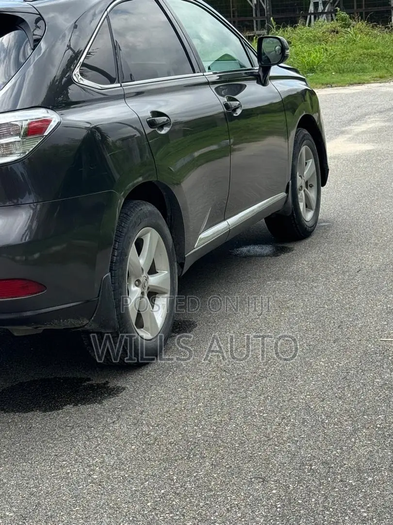 Lexus RX 2010 Gray