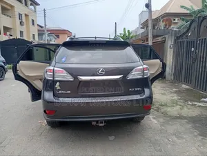 Lexus RX 2010 Gray
