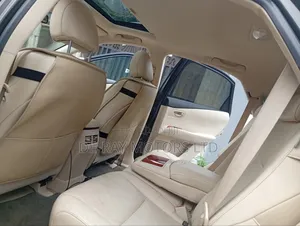 Lexus RX 2010 Gray