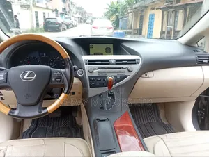 Lexus RX 2010 Gray
