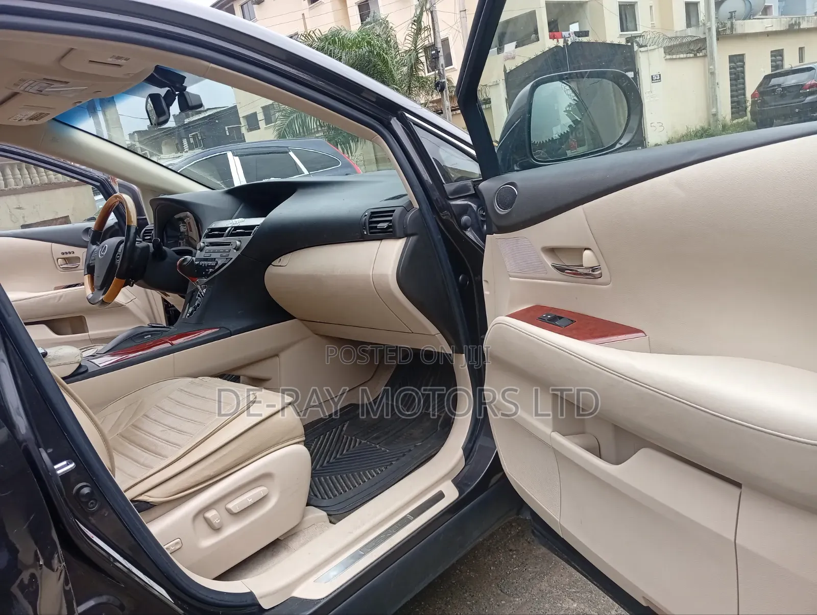 Lexus RX 2010 Gray