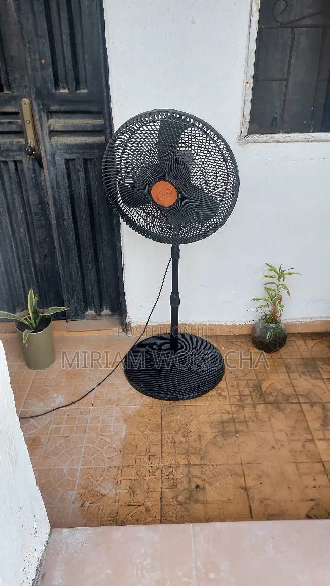 Standing Fan