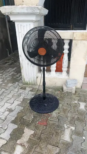 Standing Fan