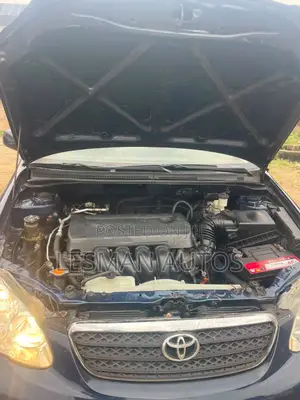 Toyota Corolla LE 2007 Blue