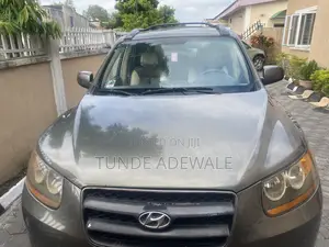 Hyundai Santa Fe 2007 Green