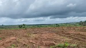 600sqm Plot Of Land For Sale