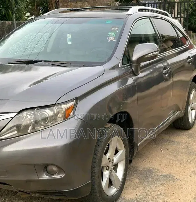 Lexus RX 2010 Gray