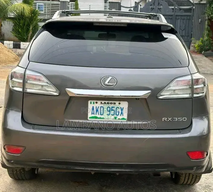 Lexus RX 2010 Gray
