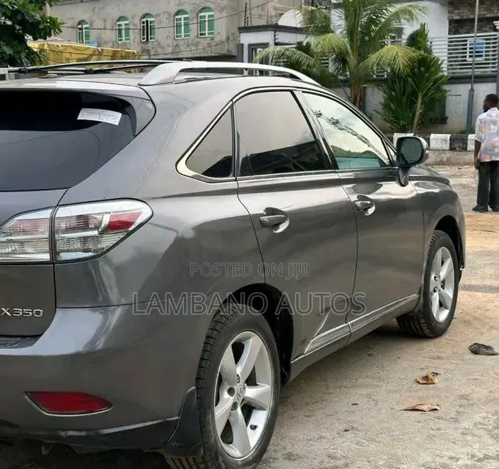 Lexus RX 2010 Gray
