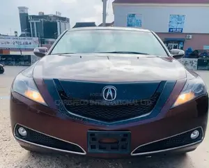 Acura ZDX Base AWD 2010 Red
