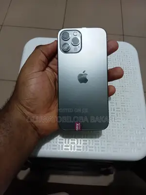 Apple iPhone 12 Pro Max 256 GB Gray