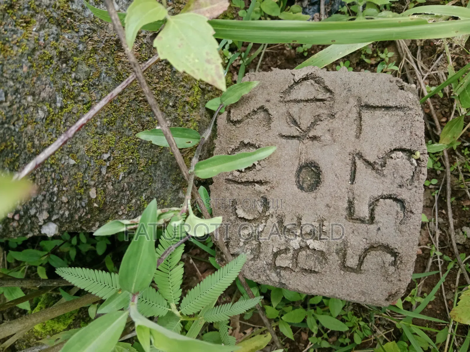 Plot of Land
