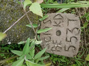 Plot of Land