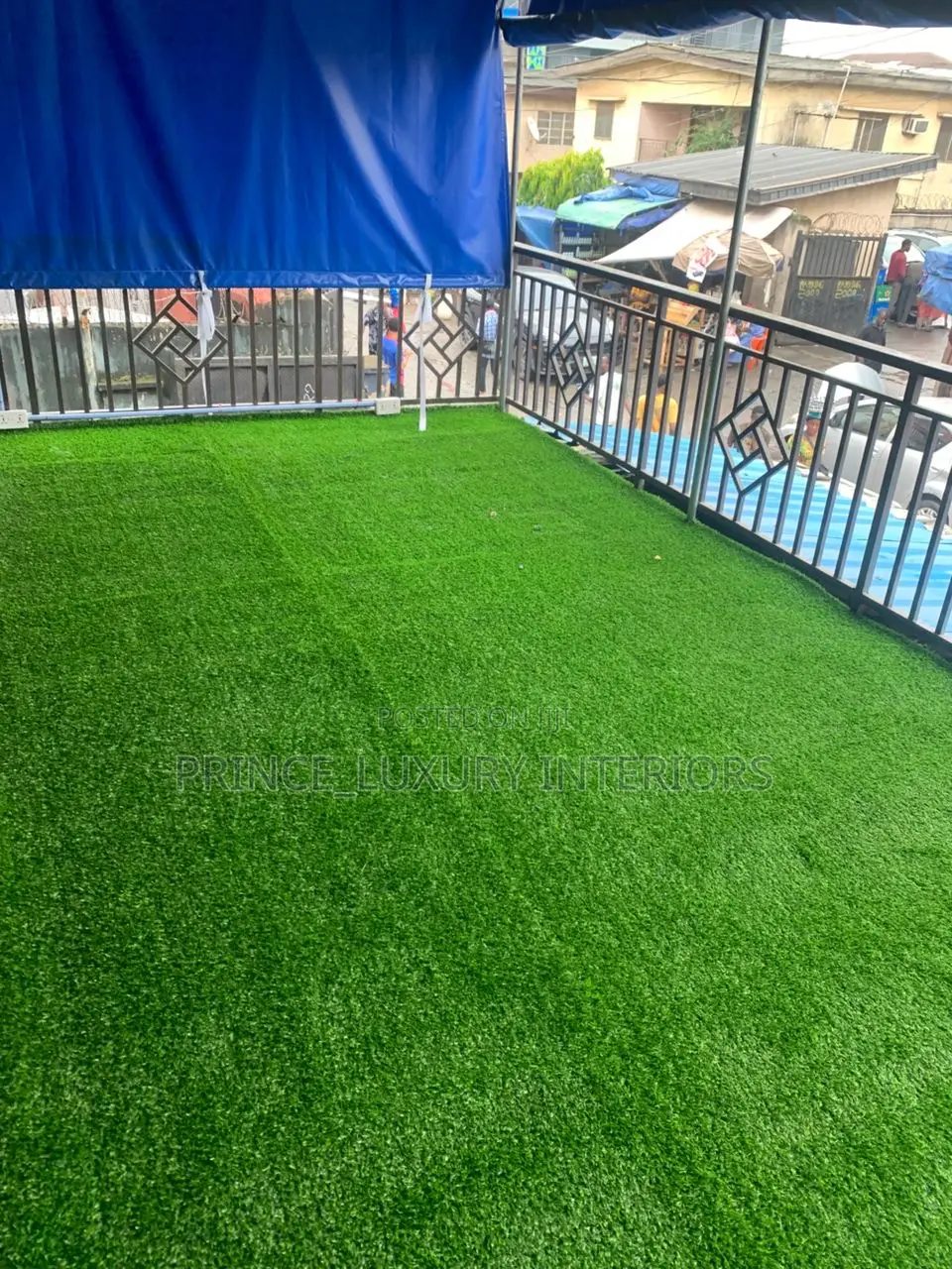 Luxury Capet Grass