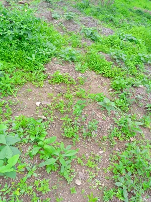 500sqm Residential Plots At Wuye Main