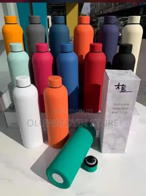 Matt Doubled Wall Insulated Bottle