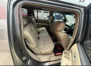 Honda Pilot 2009 Gray