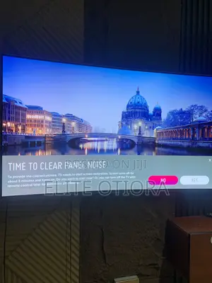 Oled 55 Inch Covered Lg Tv
