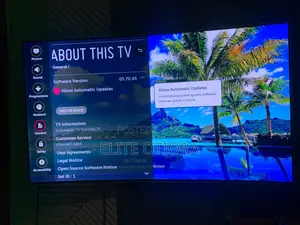 Oled 55 Inch Covered Lg Tv