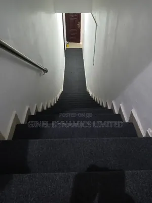 Professional Rug Sales and Installation