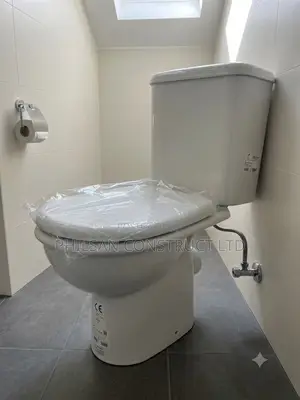 Ceramic Water Closet (Toilet Set) – With Tank Seat