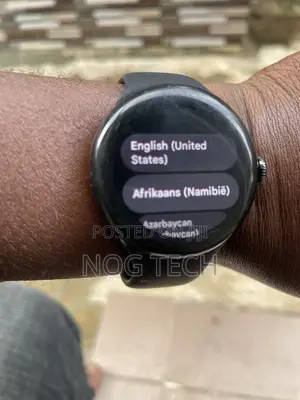 Pixel Watch 2