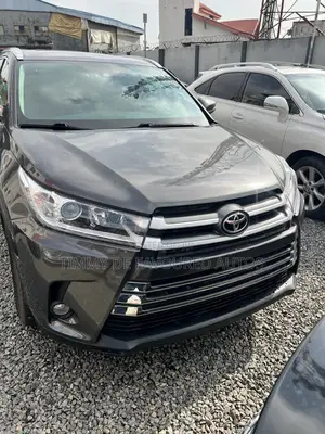 Toyota Highlander XLE 2019 Gray
