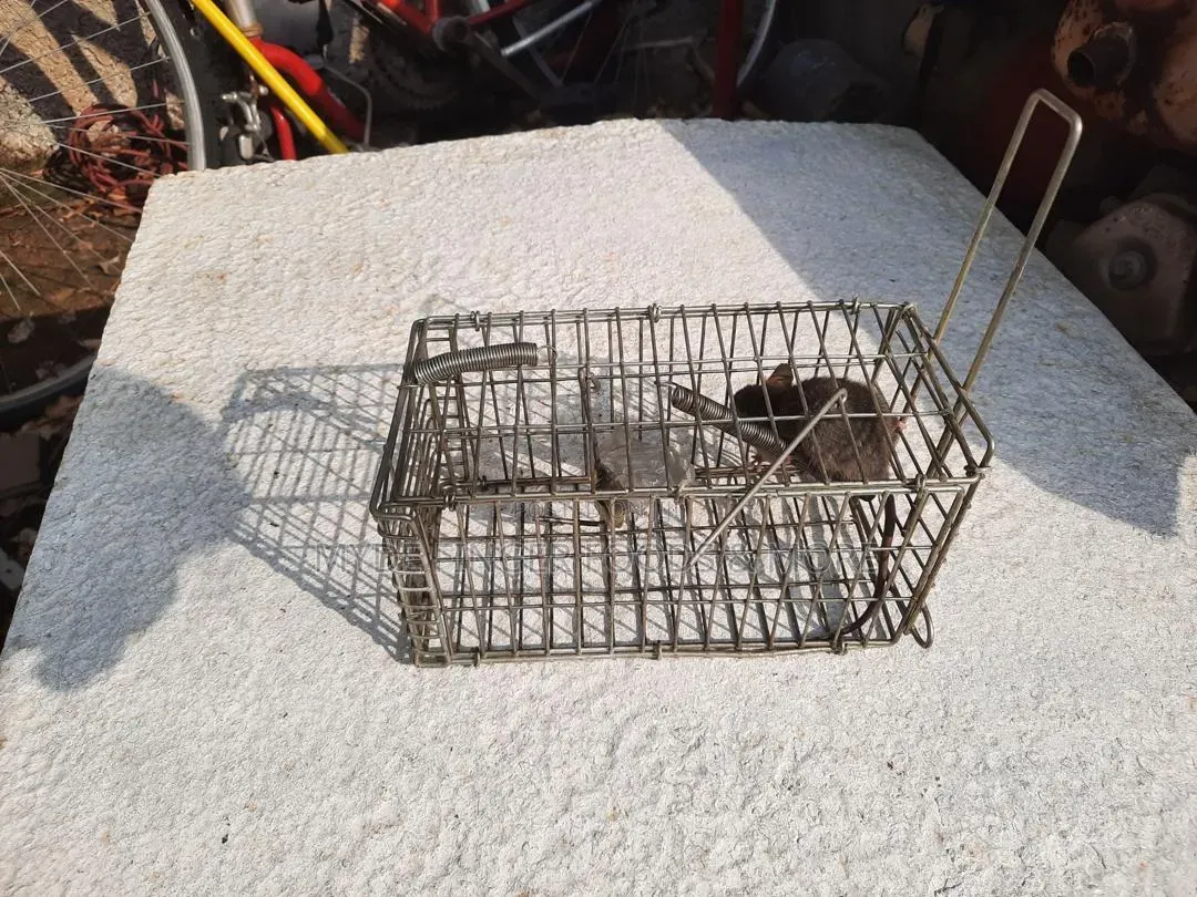 Rat Trap Cage