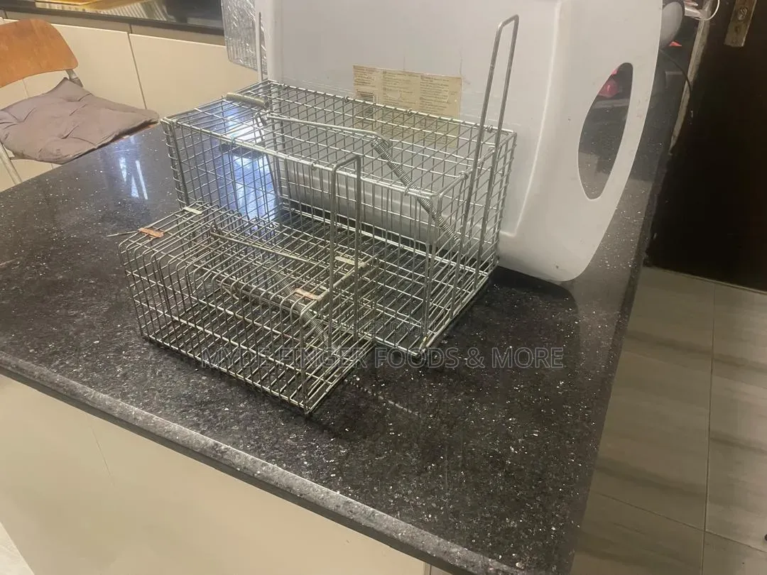Rat Trap Cage