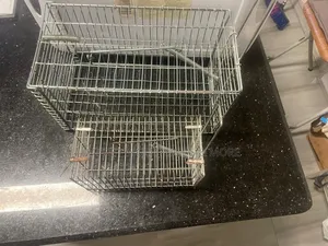 Rat Trap Cage
