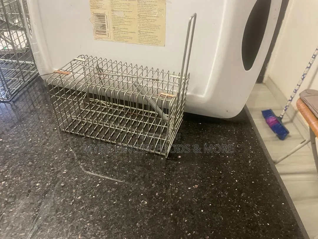 Rat Trap Cage