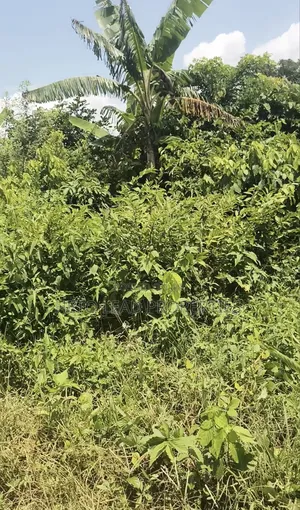 A Plot Half of Land for Sale at Elenu Sonso Ibadan