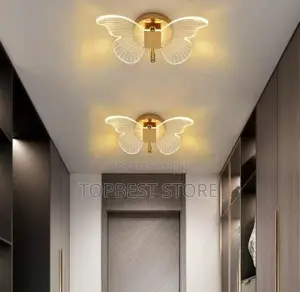 Modern Ceiling/Wall Butterfly Light