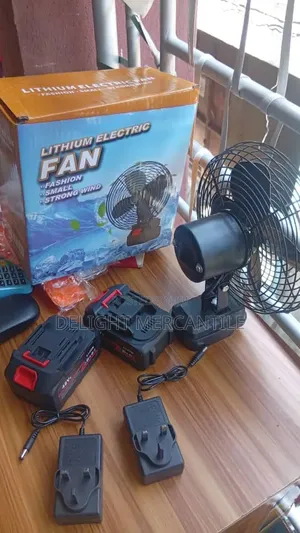 Rotating Lithium Fan