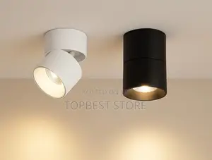 Surface Mounted Folding Spot Light 15w Changing Color