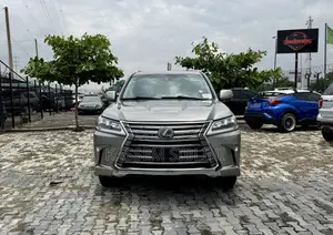 Lexus LX 2019 Gray