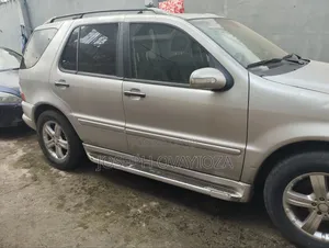 Mercedes-Benz M Class ML 320 2003 Silver