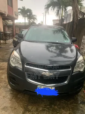 Chevrolet Equinox LS 2010 Gray