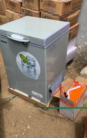 Bona Solar Freezer 168l
