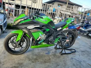 Kawasaki Ninja 300 2017 Green