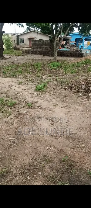 25ft X 100ft Dry Land for Sale