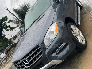Mercedes-Benz M Class 2015 Gray