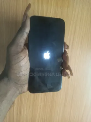 Apple iPhone 15 Pro Max 256 GB Gray