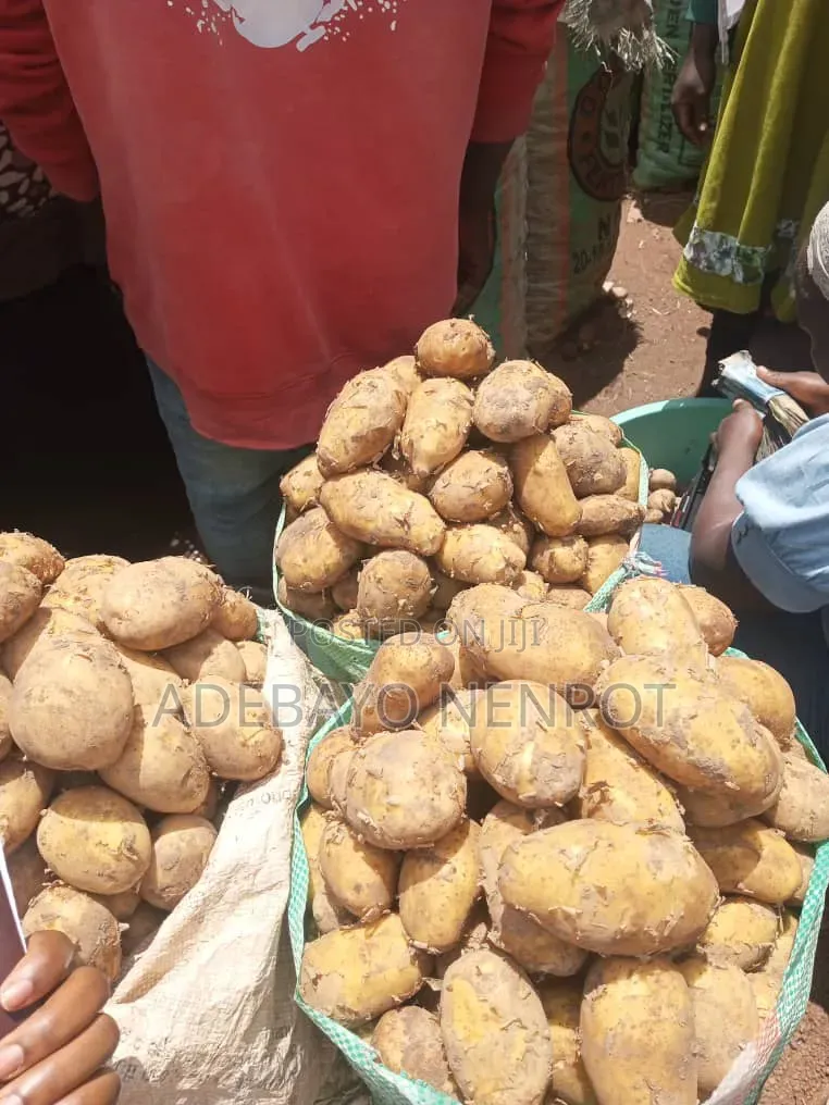 Irish Potato