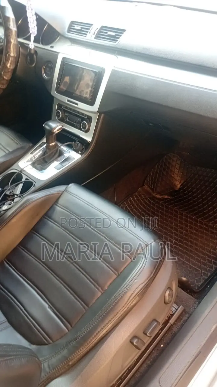Volkswagen Passat 2011 Blue